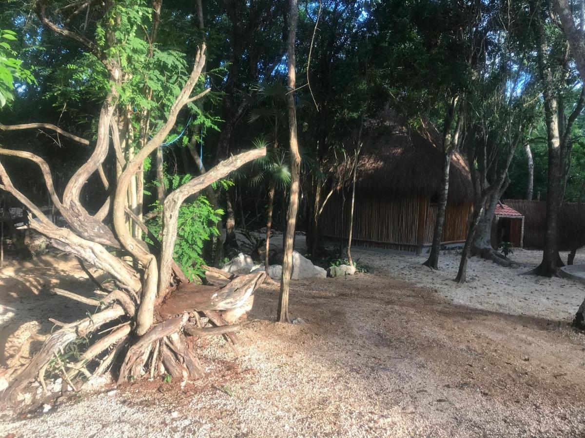 Hotel Tulum Nueve Zewnętrze zdjęcie