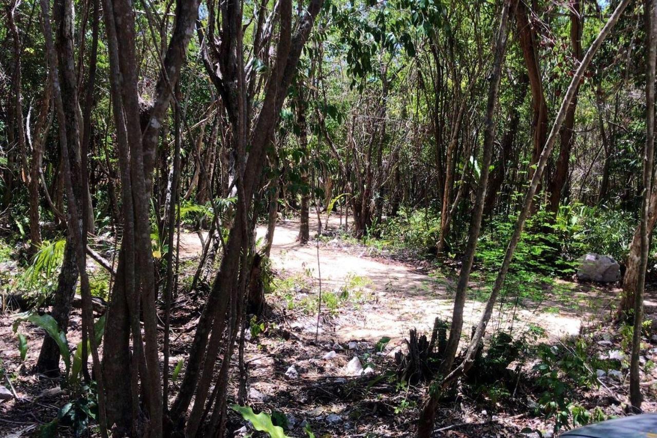 Hotel Tulum Nueve Zewnętrze zdjęcie
