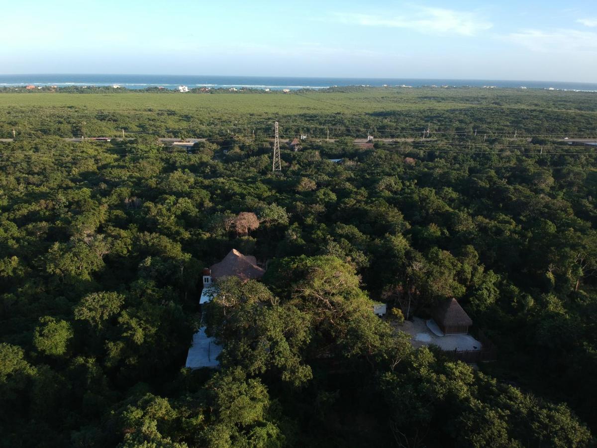 Hotel Tulum Nueve Zewnętrze zdjęcie