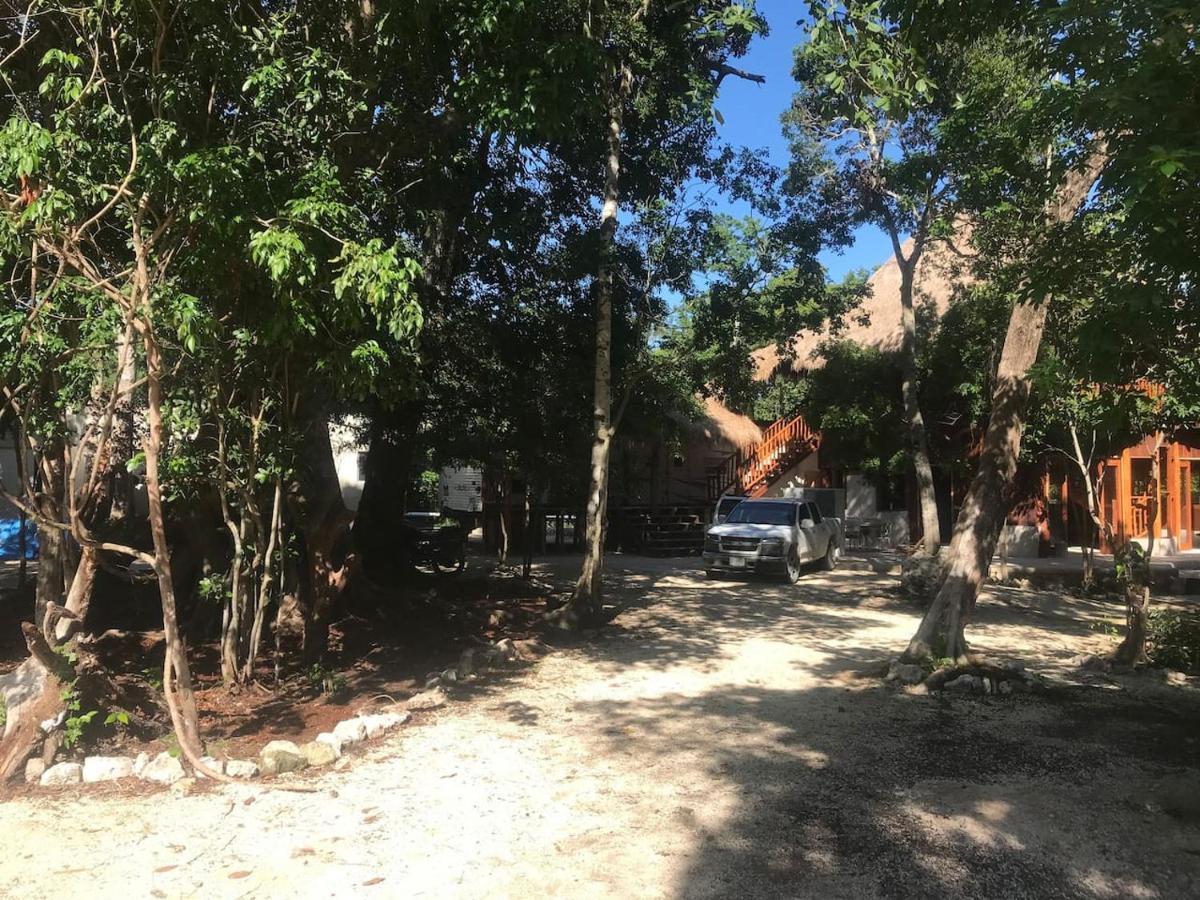 Hotel Tulum Nueve Zewnętrze zdjęcie