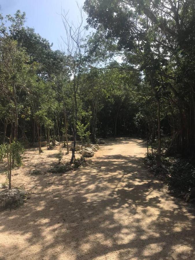 Hotel Tulum Nueve Zewnętrze zdjęcie